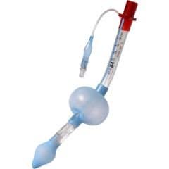 10-0003_a-full_3 King LT-D