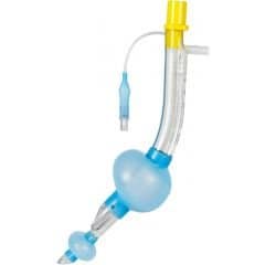 10-0025_a-full_2 King LTS-D